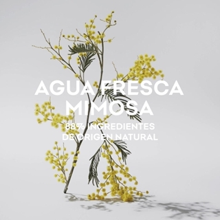 ADOLFO DOMINGUEZ Agua Fresca Mimosa 120ml vapo. - Imagen 2