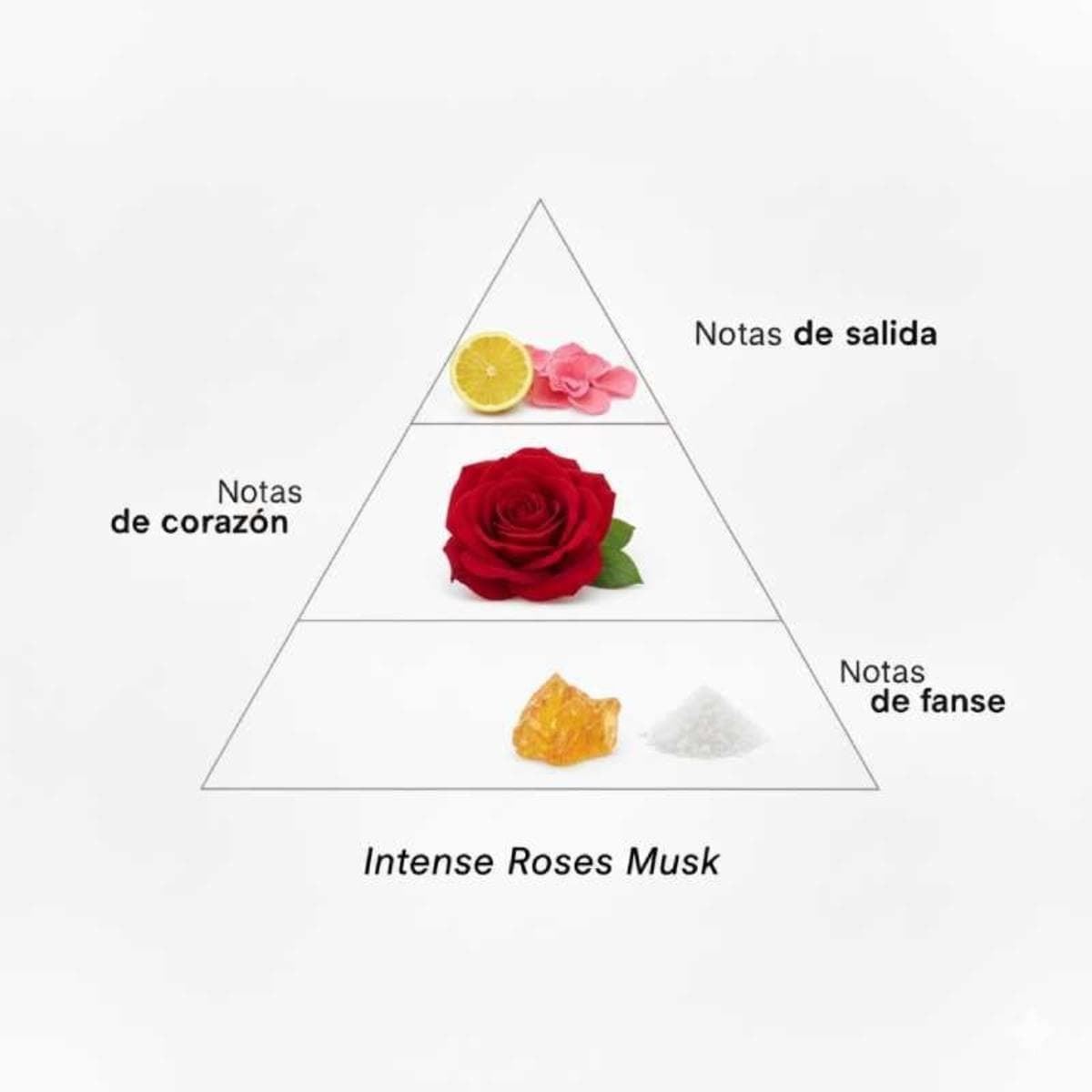 Montale Paris Intense Roses Musk 100ML - Imagen 3